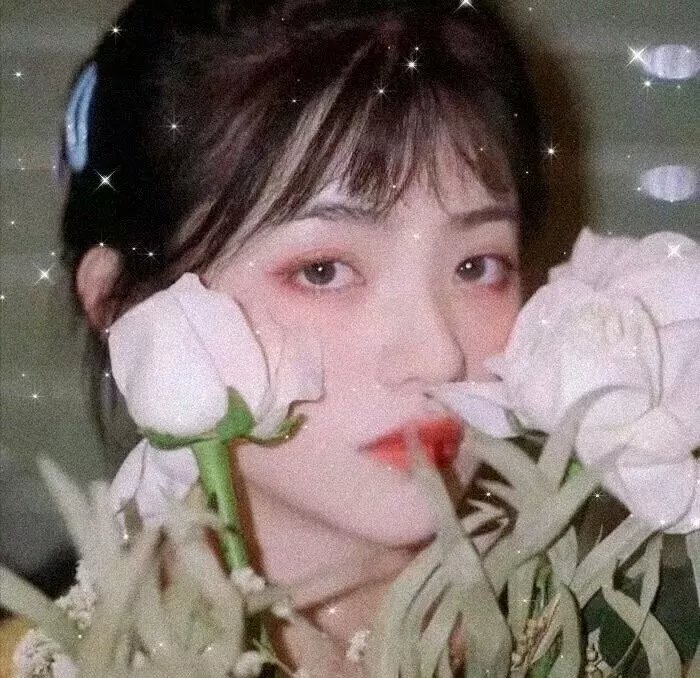 降龙罗汉